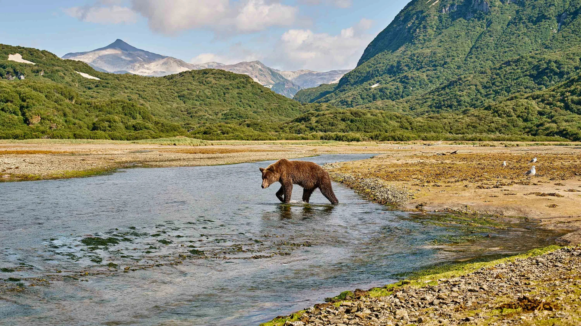 Alaska und Kanada – Aleuten, Bären und die Inside-Passage (Kurs Nord)  