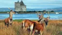hebridean islands tours scotland