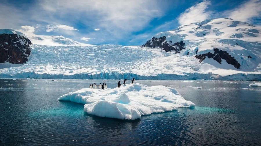 Expédition en Antarctique et aux îles Malouines