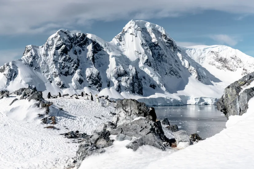 Expedition till Antarktis, Patagonien och chilenska fjordar