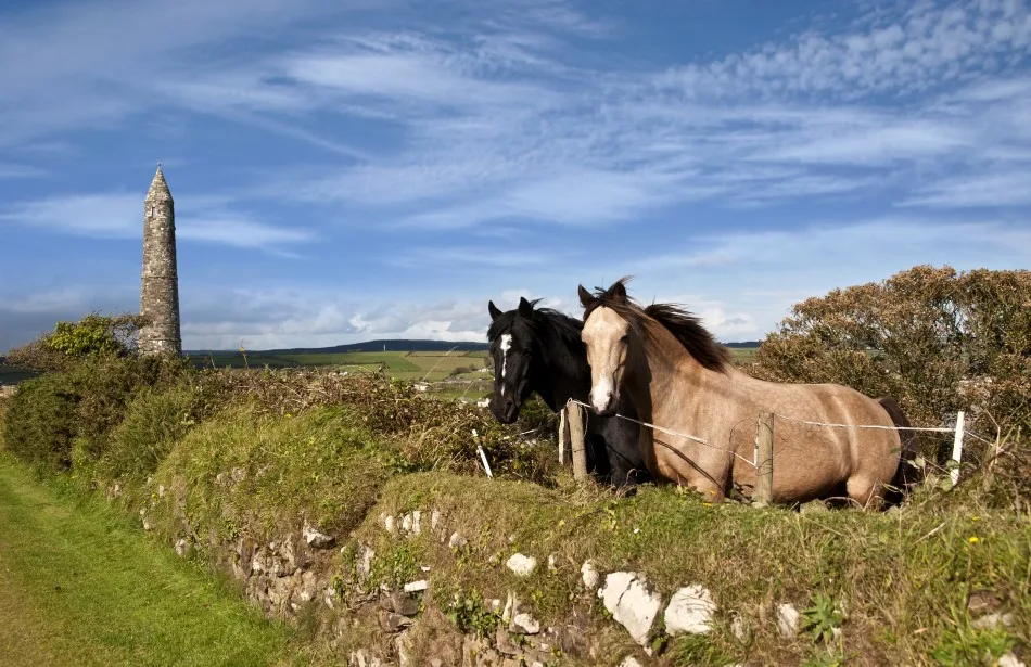 Irish horses and ancient round tower in the beautiful Ardmore countryside of county Waterford Ireland. Photo: Shutterstock.