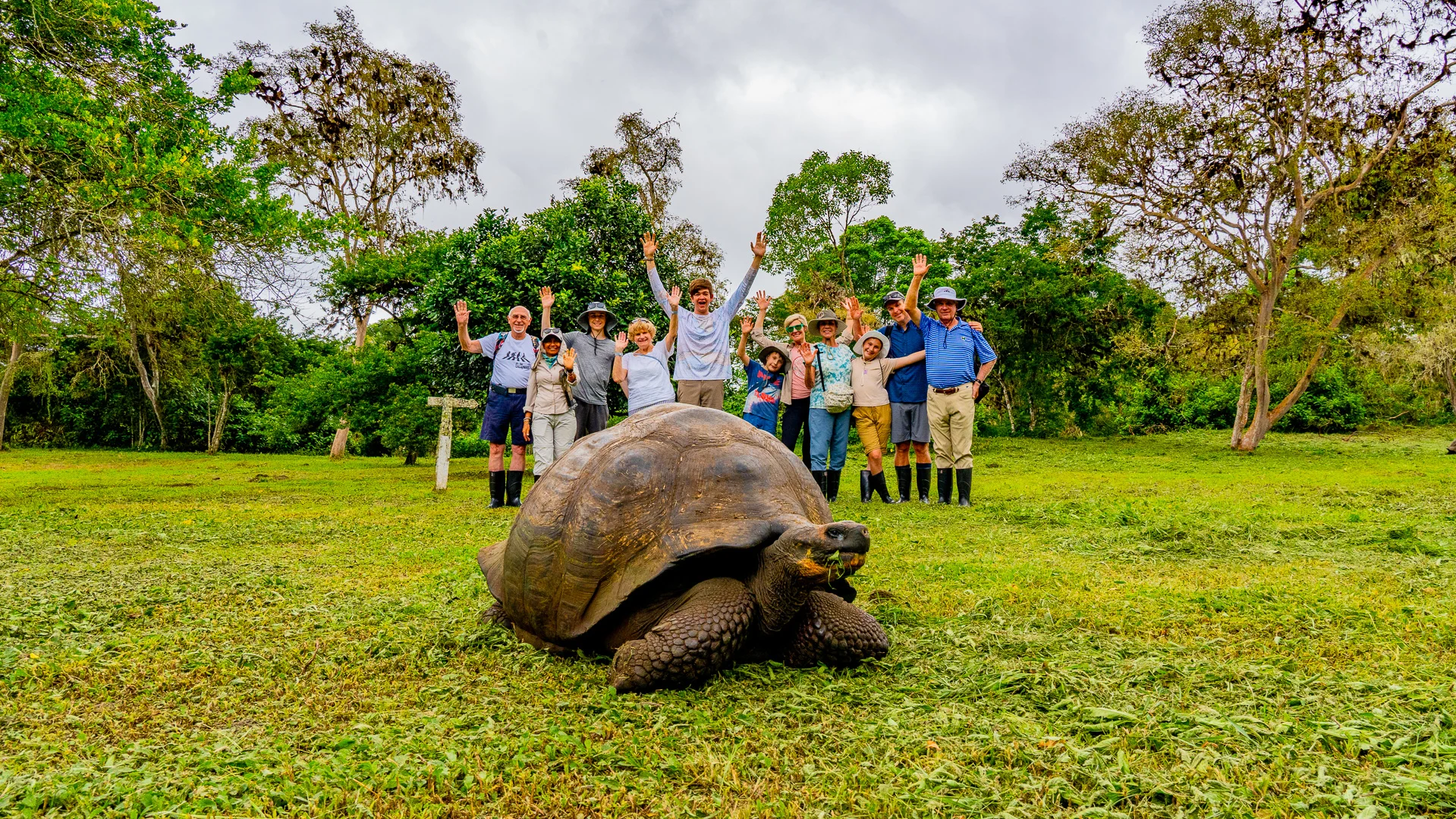 Galapagos, Group w Giant Tortoise, Santa Cruz,Andres Ballesteros