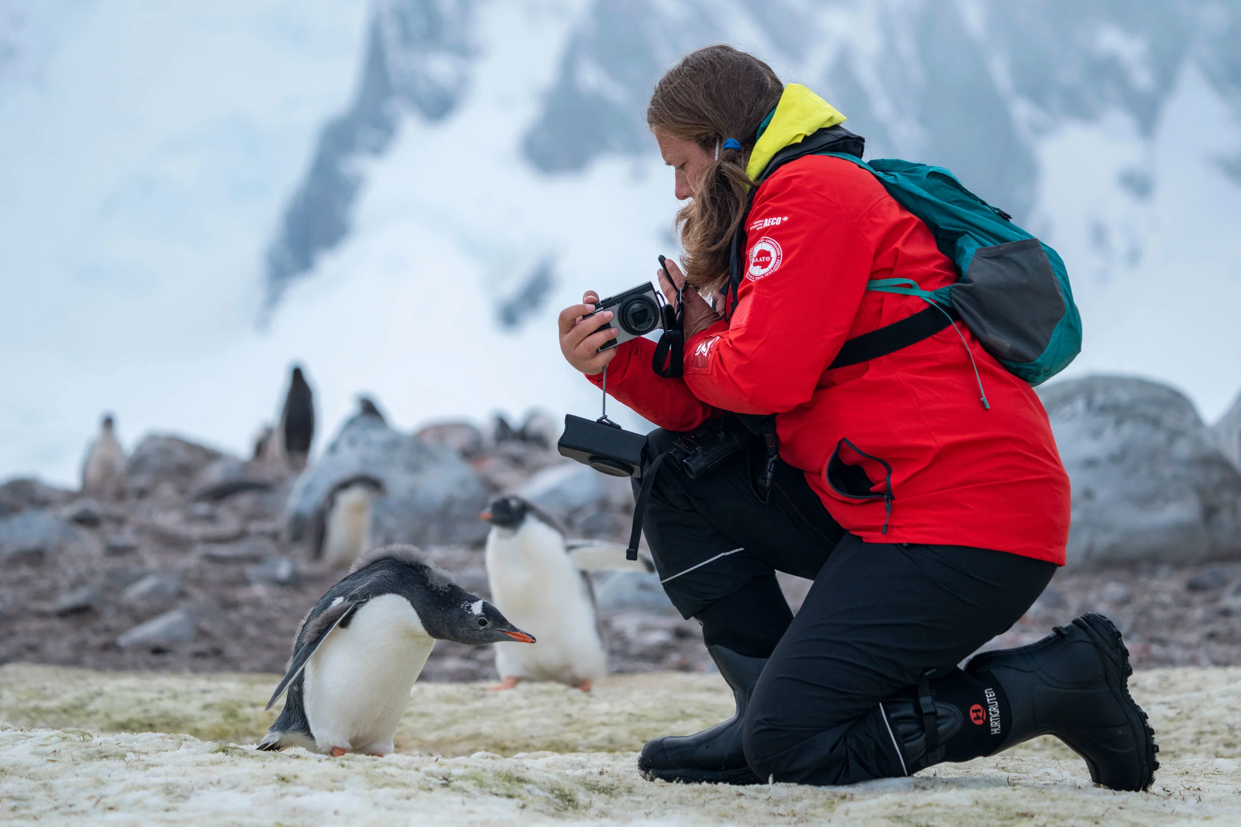 your-quiz-results-seasoned-adventurer-hx-hurtigruten-expeditions-dk