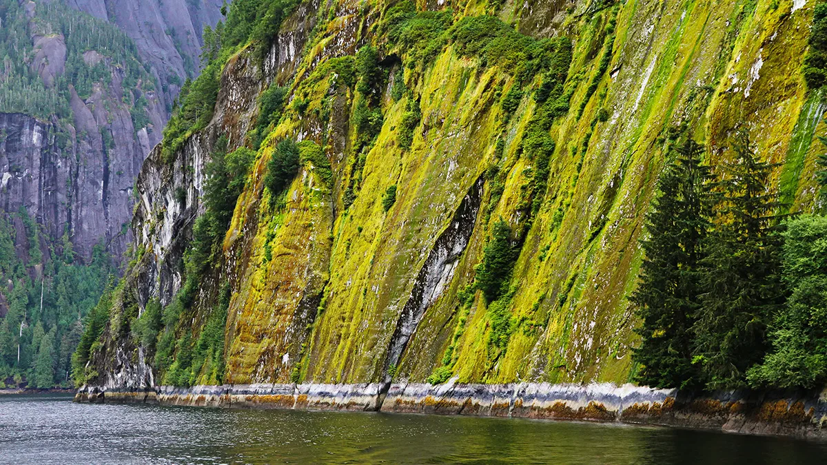 Alaska and British Columbia – Inside Passage, Bears and Aleutian Islands (Northbound) 