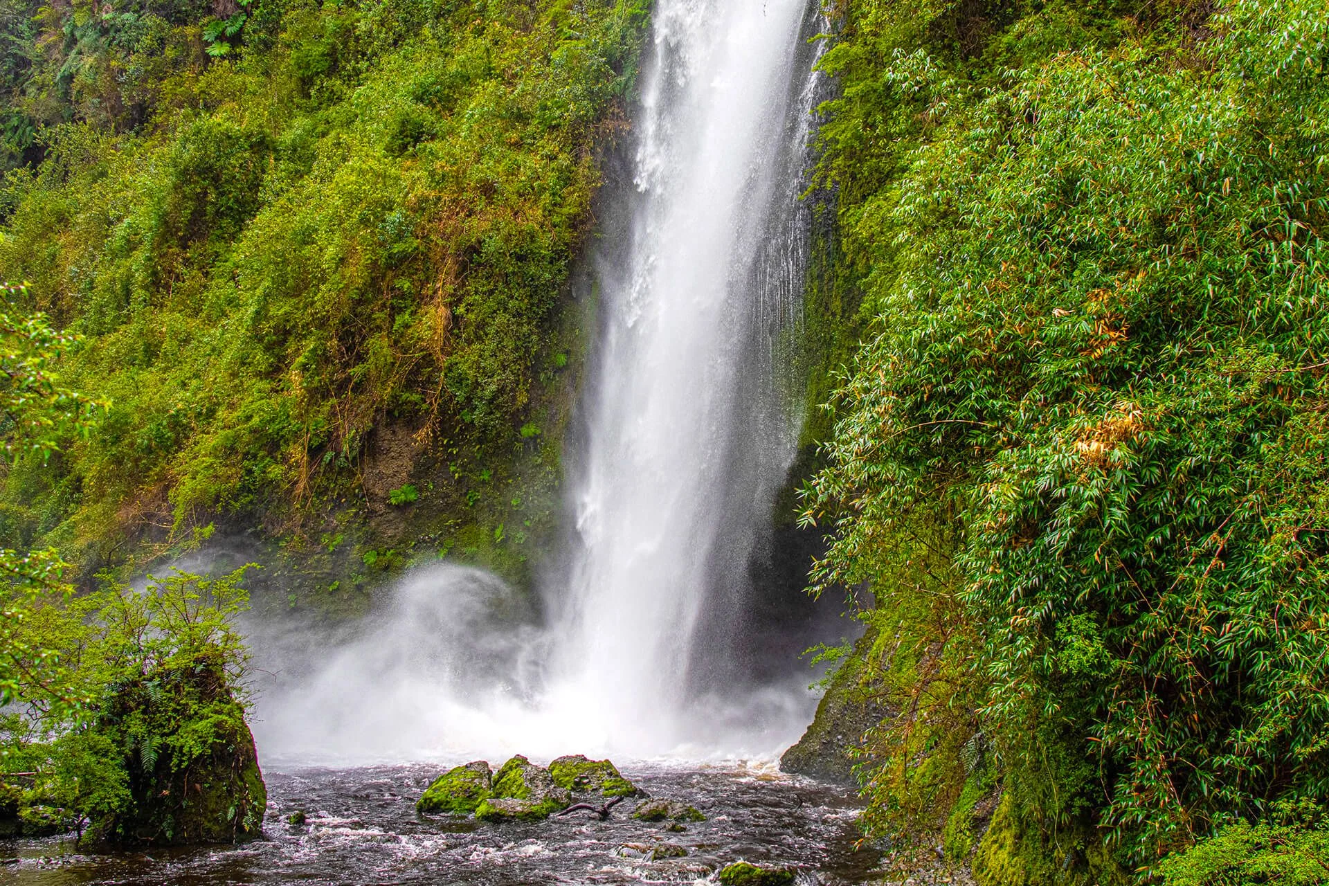 Waterfalls permeate every corner of Chiloé National Park.