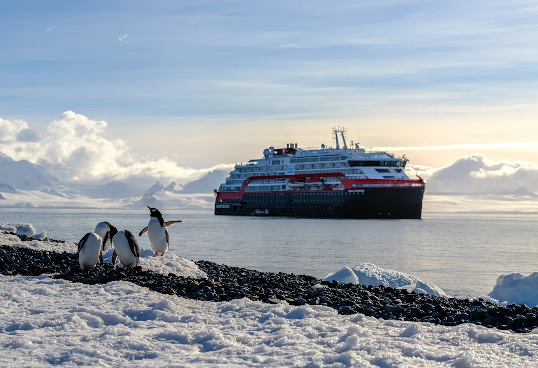 Antarctica’s Plants | Thriving in the Wilderness | HX Hurtigruten ...