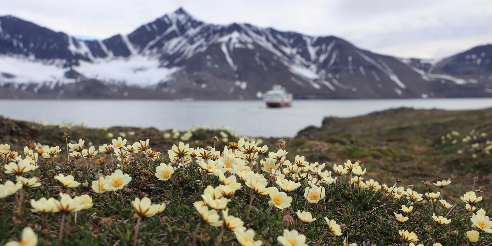 Zehn Dinge, mit denen Sie zum Wohle der Umwelt vor Ihrer Seereise nach Spitzbergen vertraut sein sollten