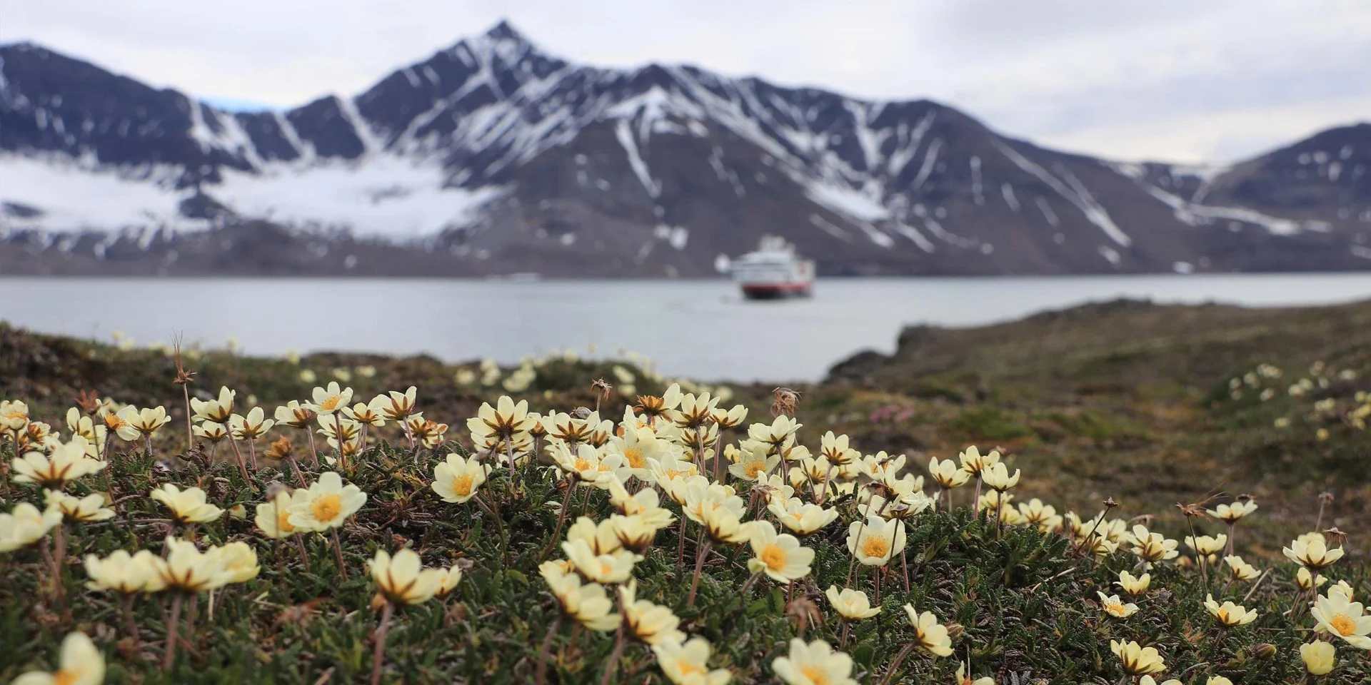 10 saker du behöver veta för att skydda miljön på Svalbard