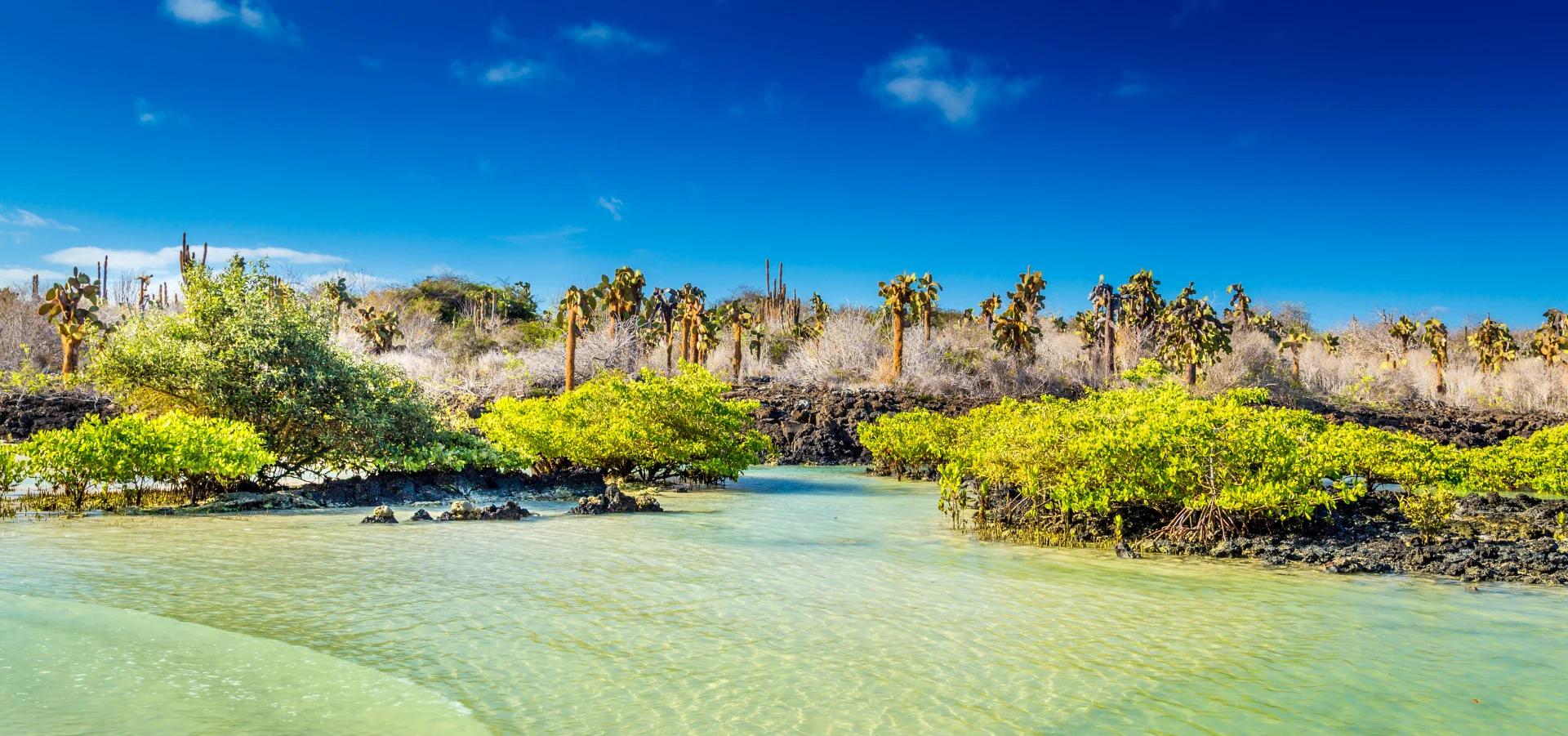 Expeditions-Seereise nach Südamerika - Machu Picchu und Galapagos-Inseln