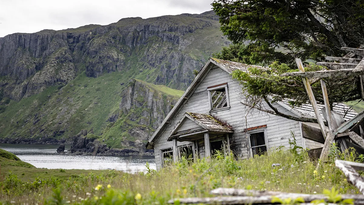 Alaska och British Columbia – Inside Passage, björnar och Aleutiska öarna (norrgående) 