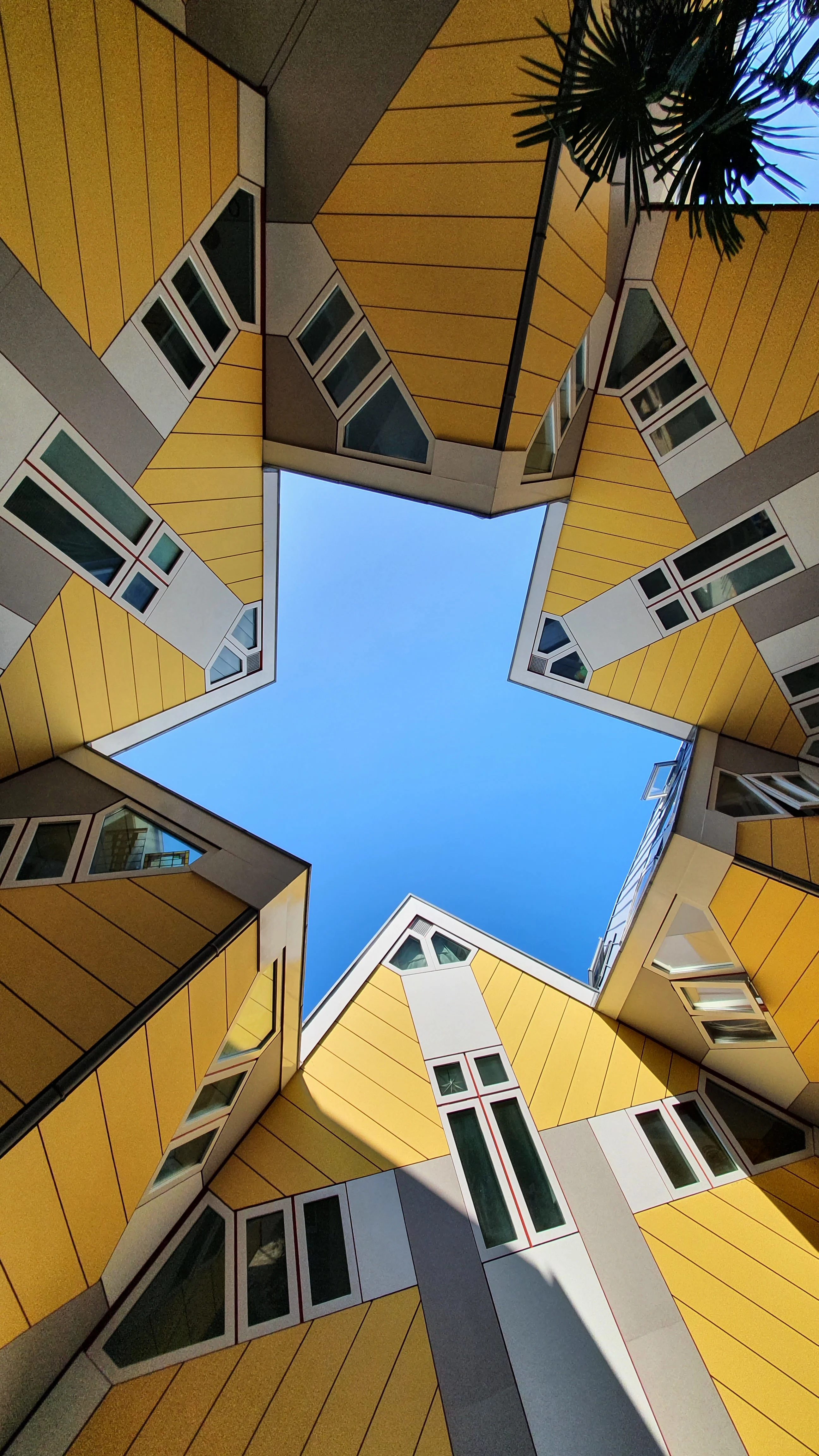 The Cube Houses in Rotterdam, the Netherlands. Taken by Marcus Bailey