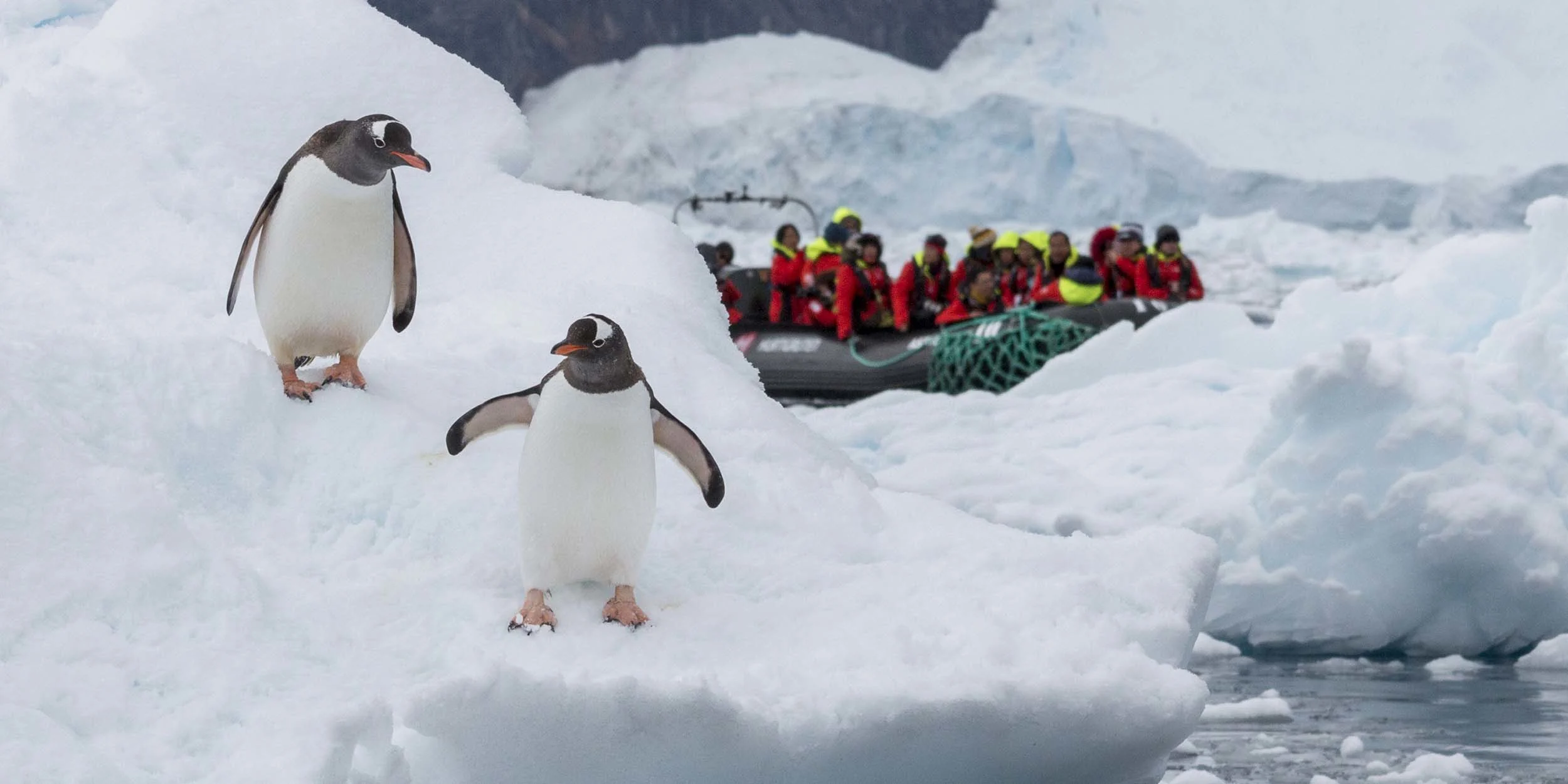 trip to antarctica from germany