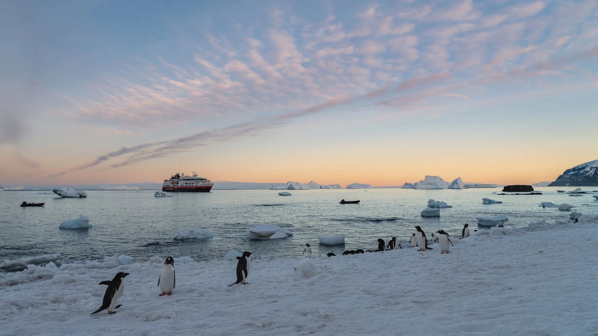 Penguins waddling across the snow in front of MS Fram anchored in Brown Bluff, Antarctica. Credit: Yuri Choufour.