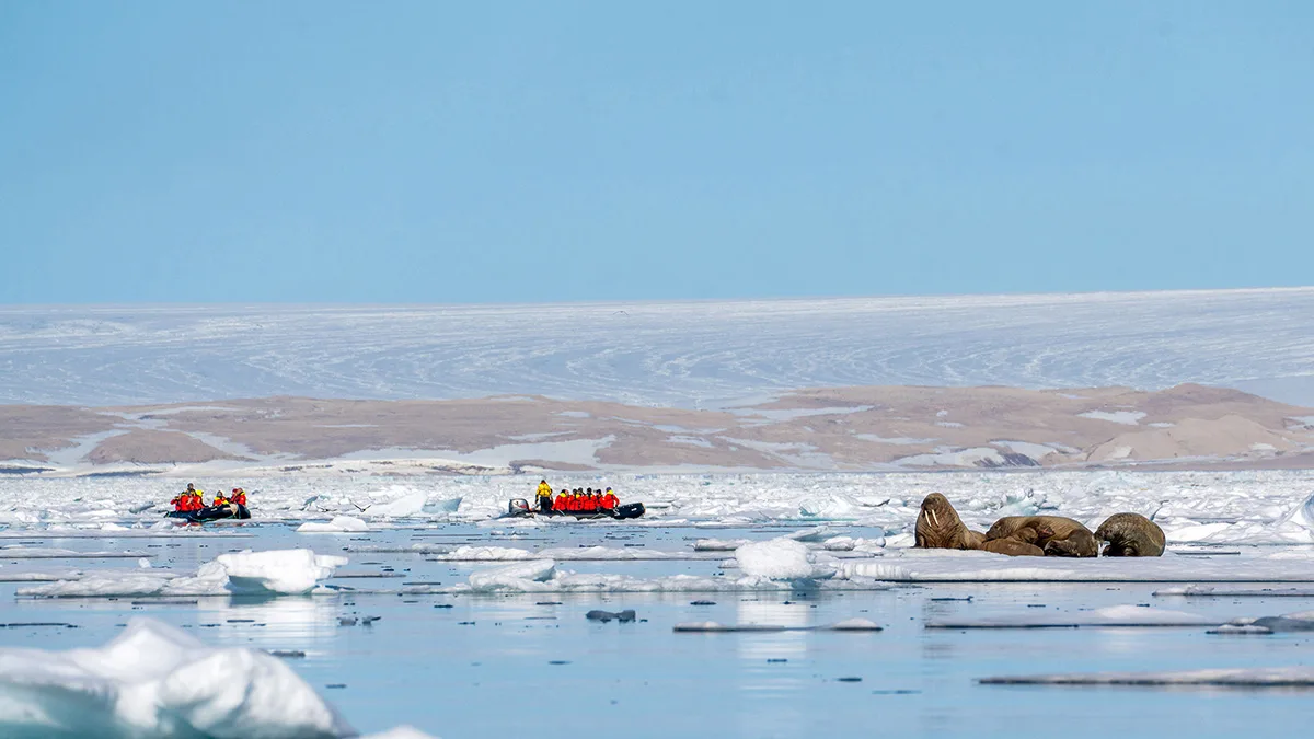 Rejseguide til Svalbard