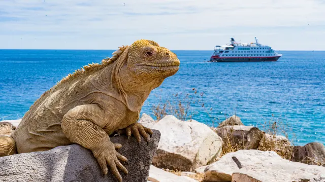 Discover your all-inclusive adventure to Antarctica, Galapagos and more