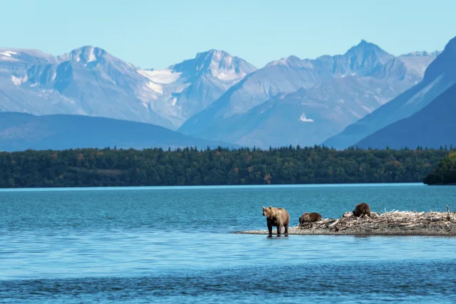 Alaska is truly breathtaking, for a limited time, save up to 40% off select sailings!