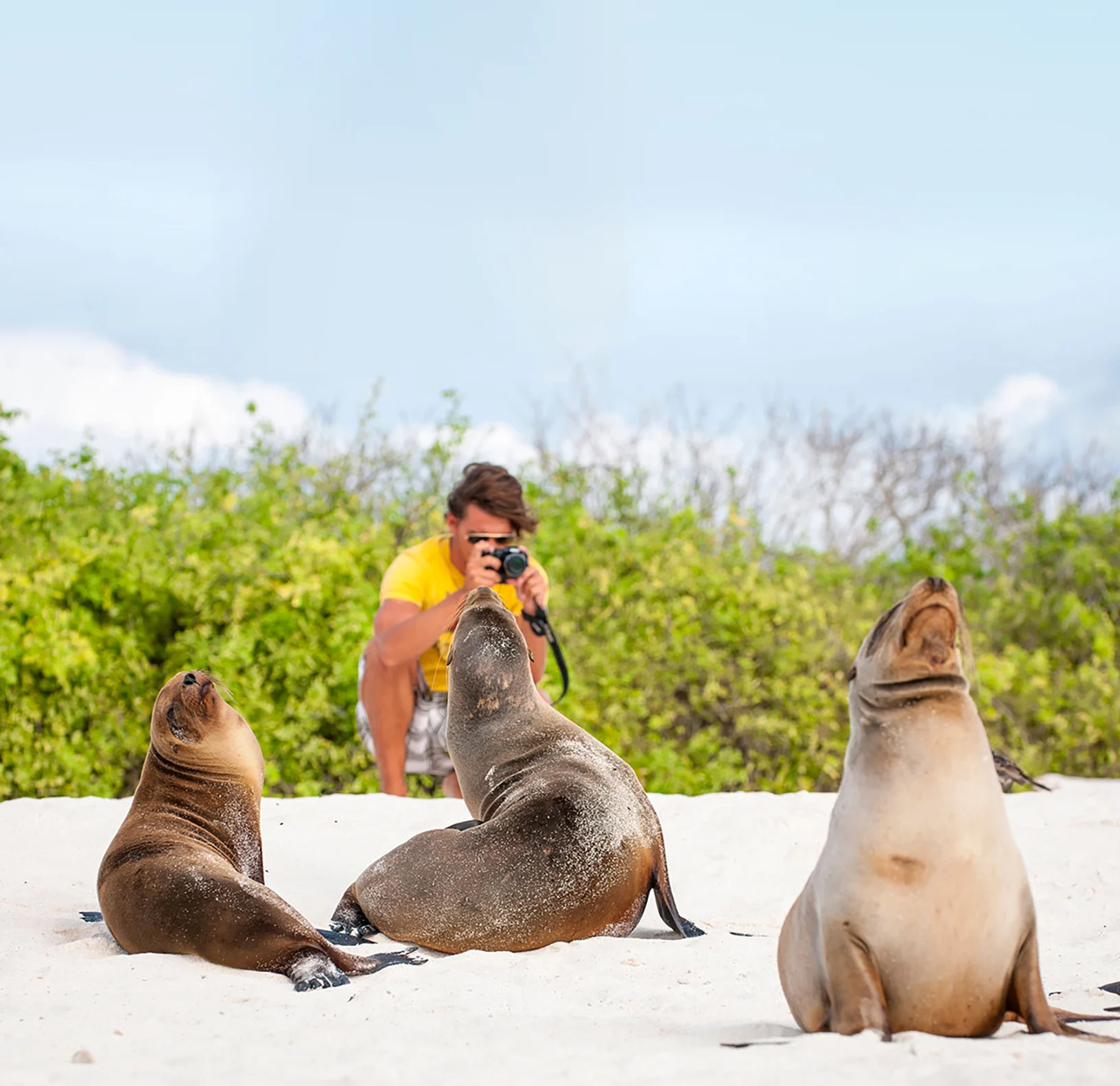 Upplev djurlivet på Galápagosöarna under en expeditionskryssning