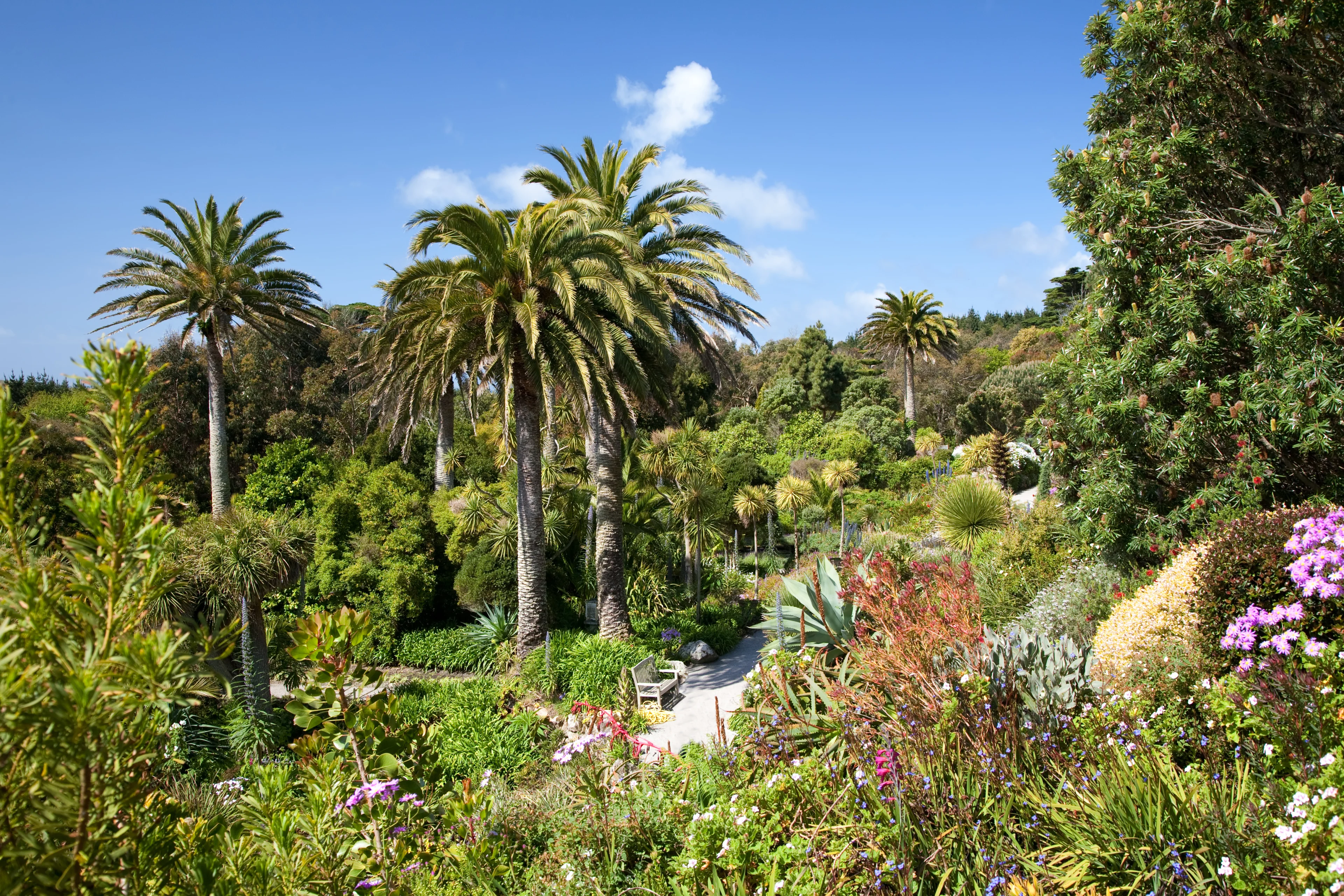 British Isles Isles of Scilly Tresco Gardens HGR 166724 Photo Shutterstock