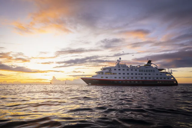 With interconnected cabins and a variety of activities for all ages, HX offers the best way to experience the Galápagos with friends and family. Swim and snorkel, dine in style, and save up to 50% on kids' fares!