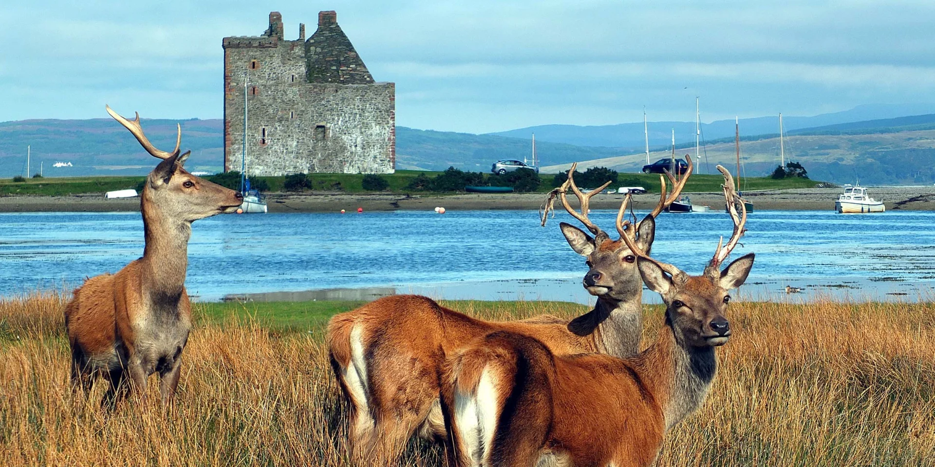 Whiskylandet Skottland och expedition på Irländska sjön 