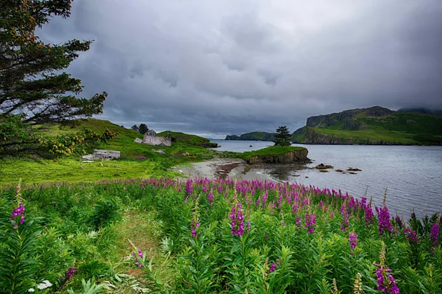 Unga Village Nature Landing | HX Hurtigruten Expeditions AU