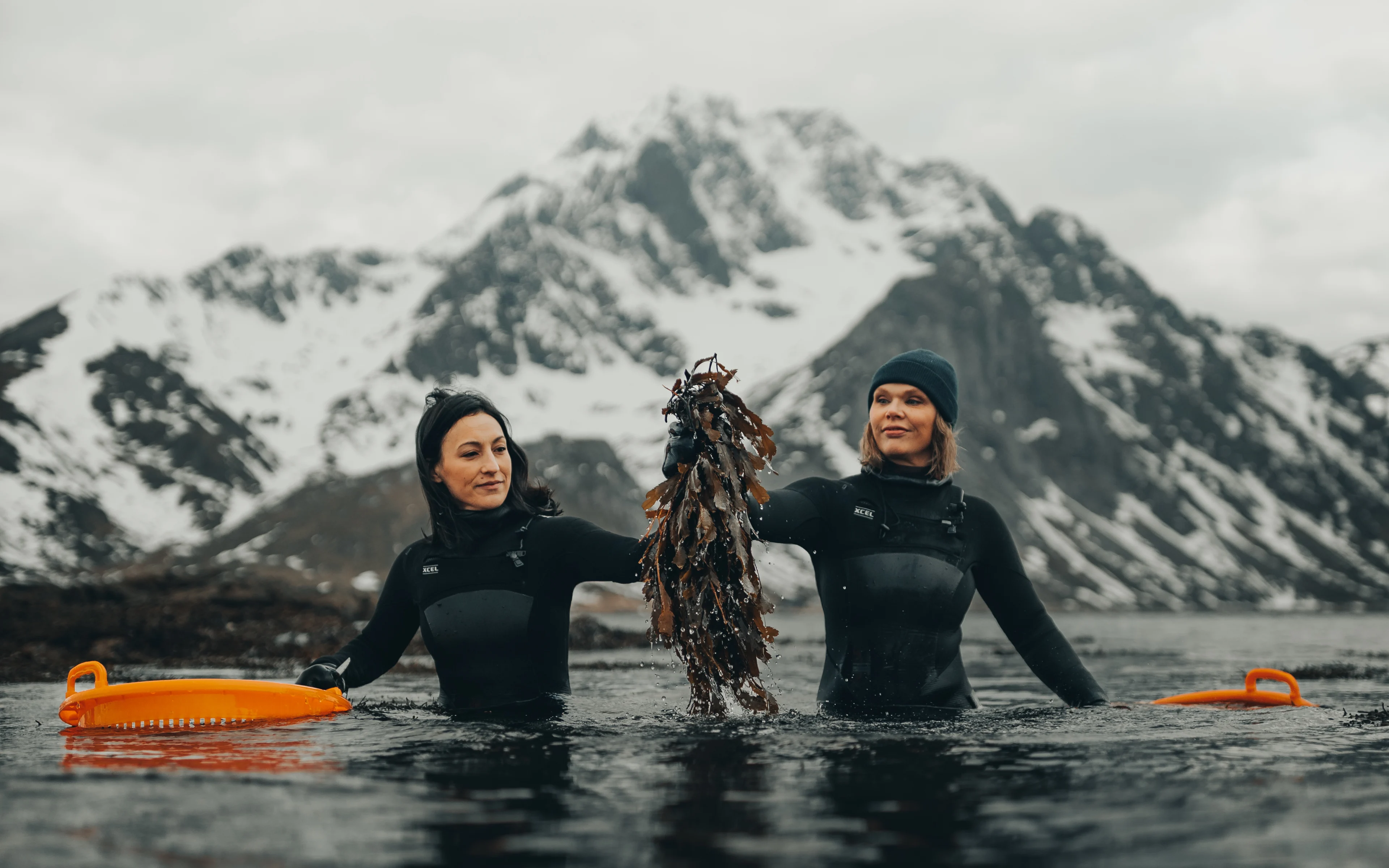 Lofoten Seaweed – hållbara sjögräsprodukter