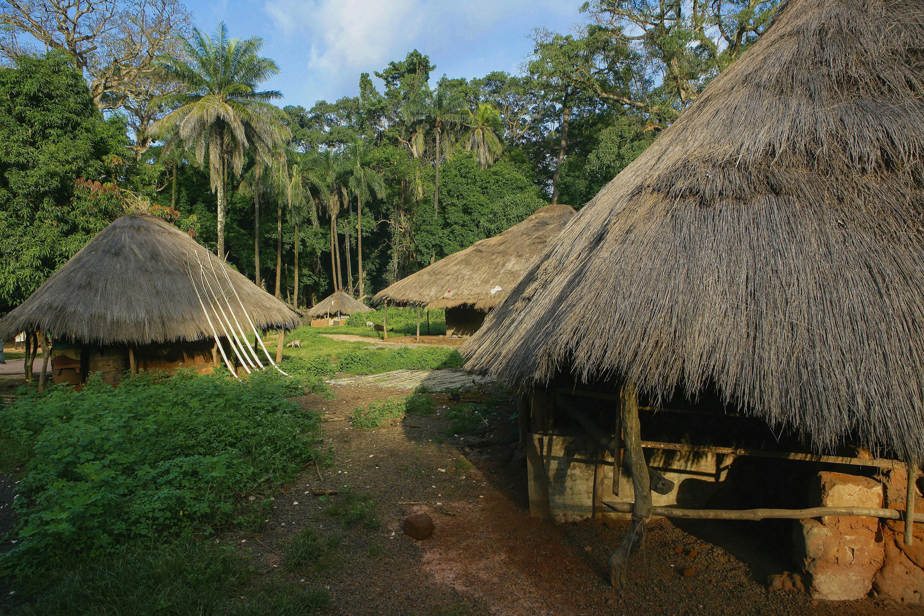 Traditional homes in Guinea-Bissau, West Africa. Photo Credit: Alamy