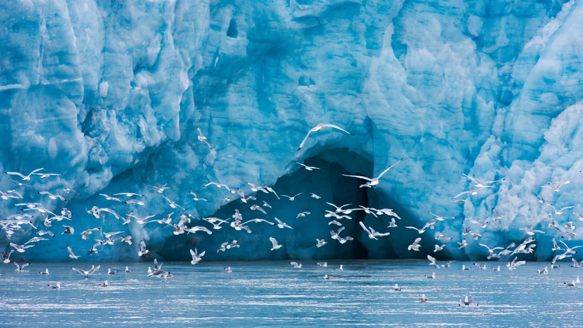 Spitzbergen im Sommer – Im Licht der Mitternachtssonne