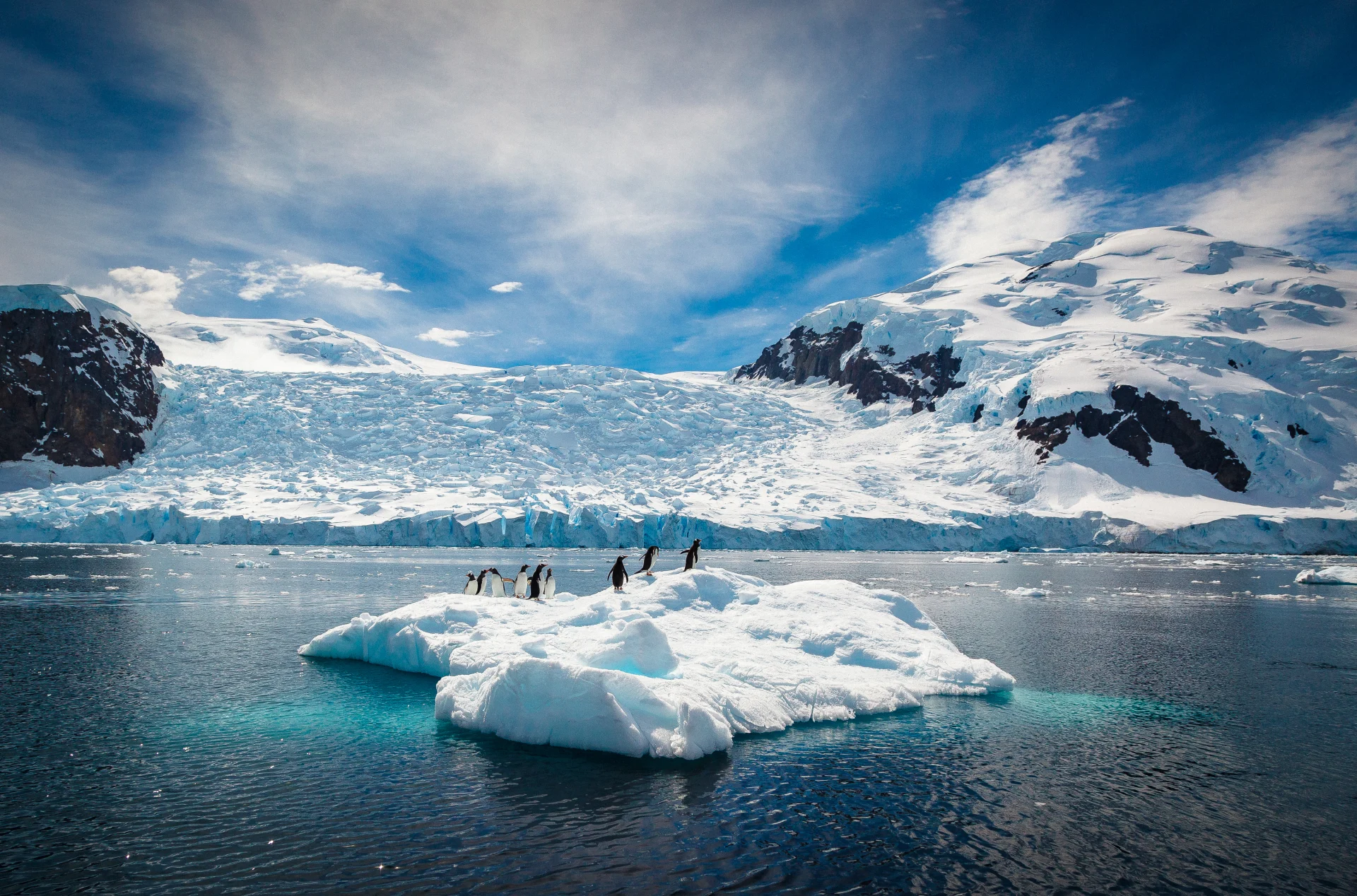 Expedition zum südlichen Polarkreis