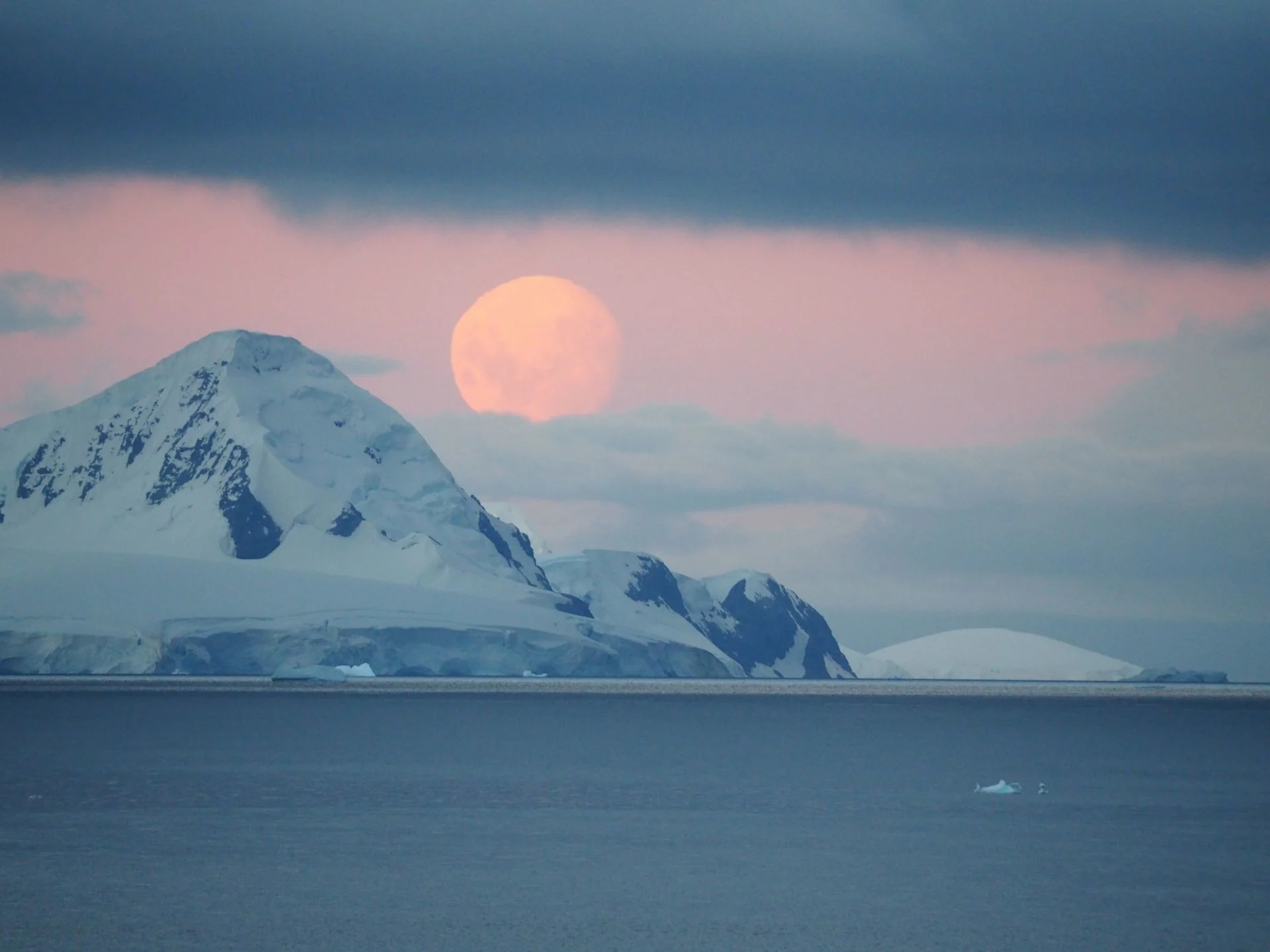 A full moon on the Antarctic Peninsula. Photo: Mary-Anne Lea
