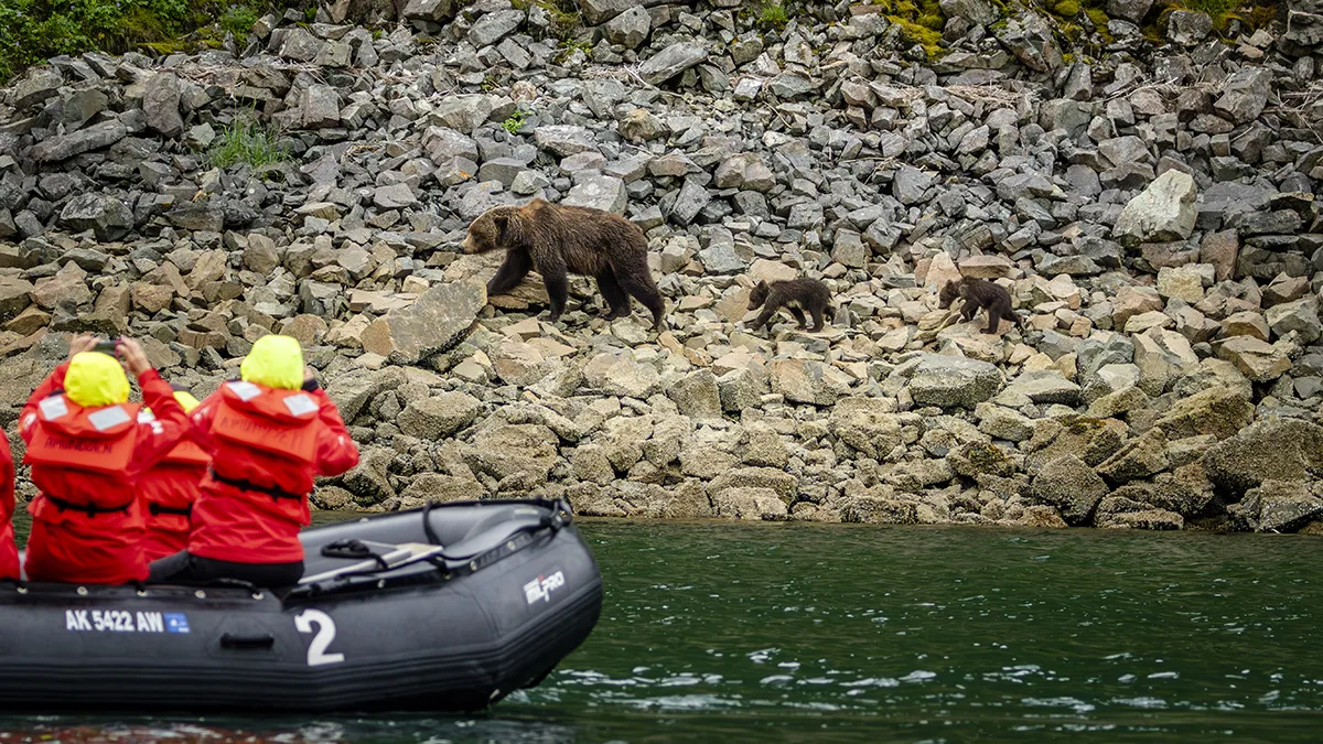 Alaska et Colombie-Britannique – Passage Intérieur, ours et îles Aléoutiennes (du Nord au Sud) 