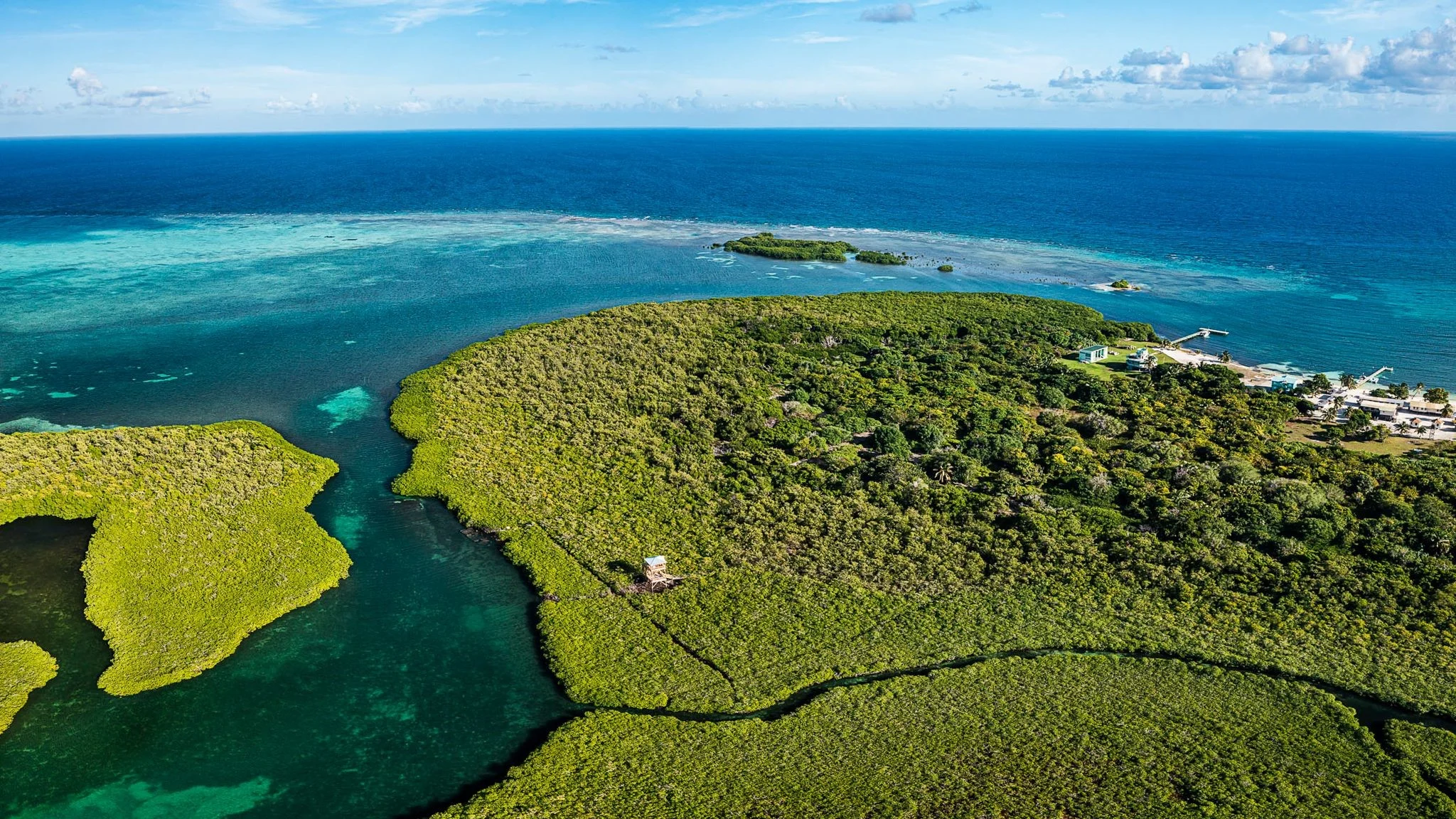 Nature trail, Turneffe Atoll. Credit: Visit Turneffe