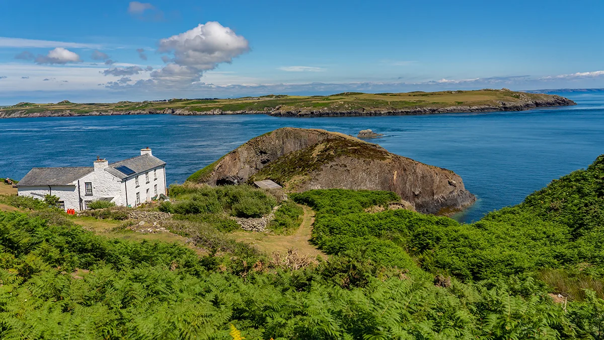 Ramsey_Island_Pembrokeshire_Wales_UK_HGR_143716_Photo_Shutterstock_1200x675px.JPG