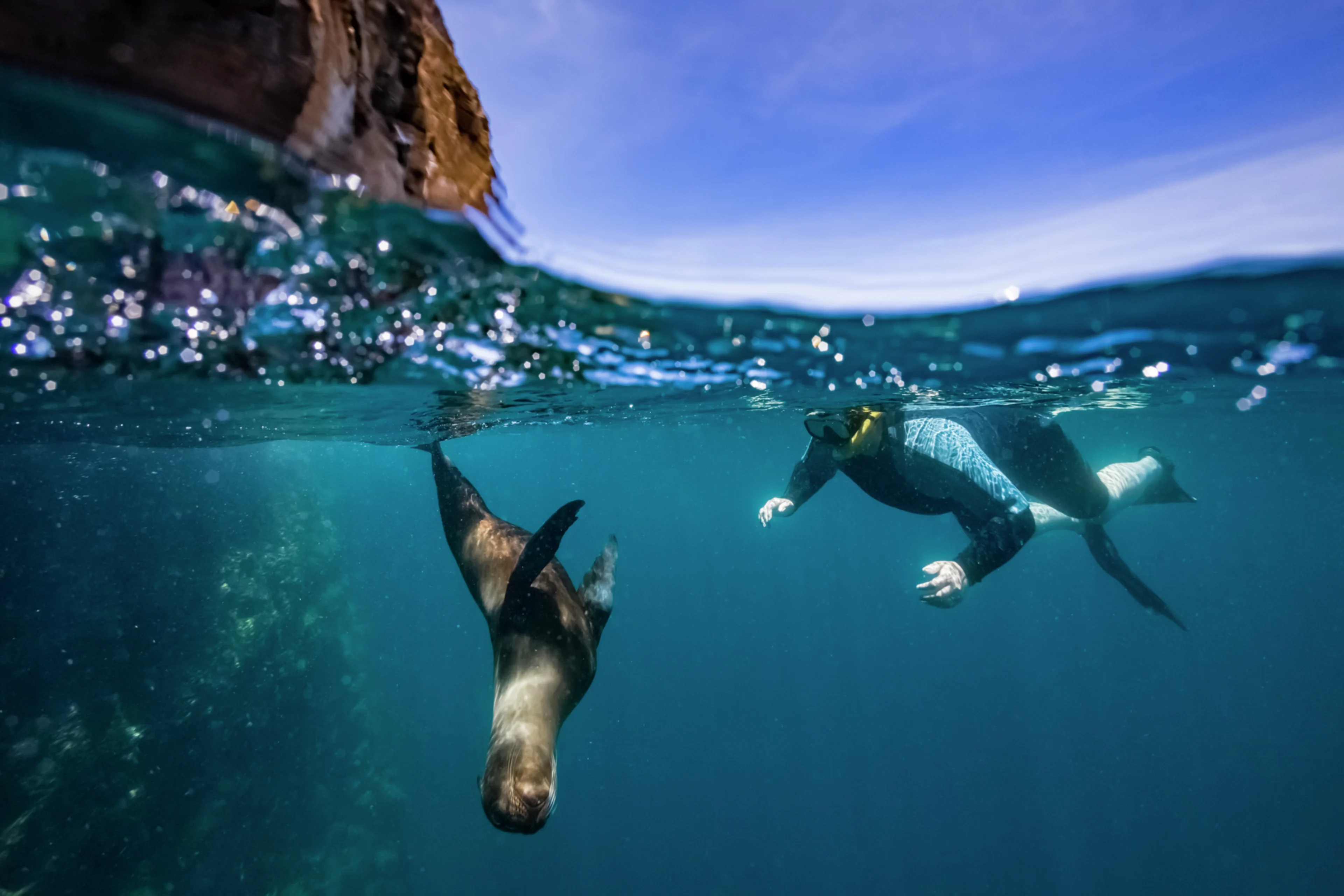 Galápagos Islands, Ecuador. Photo: Getty Images