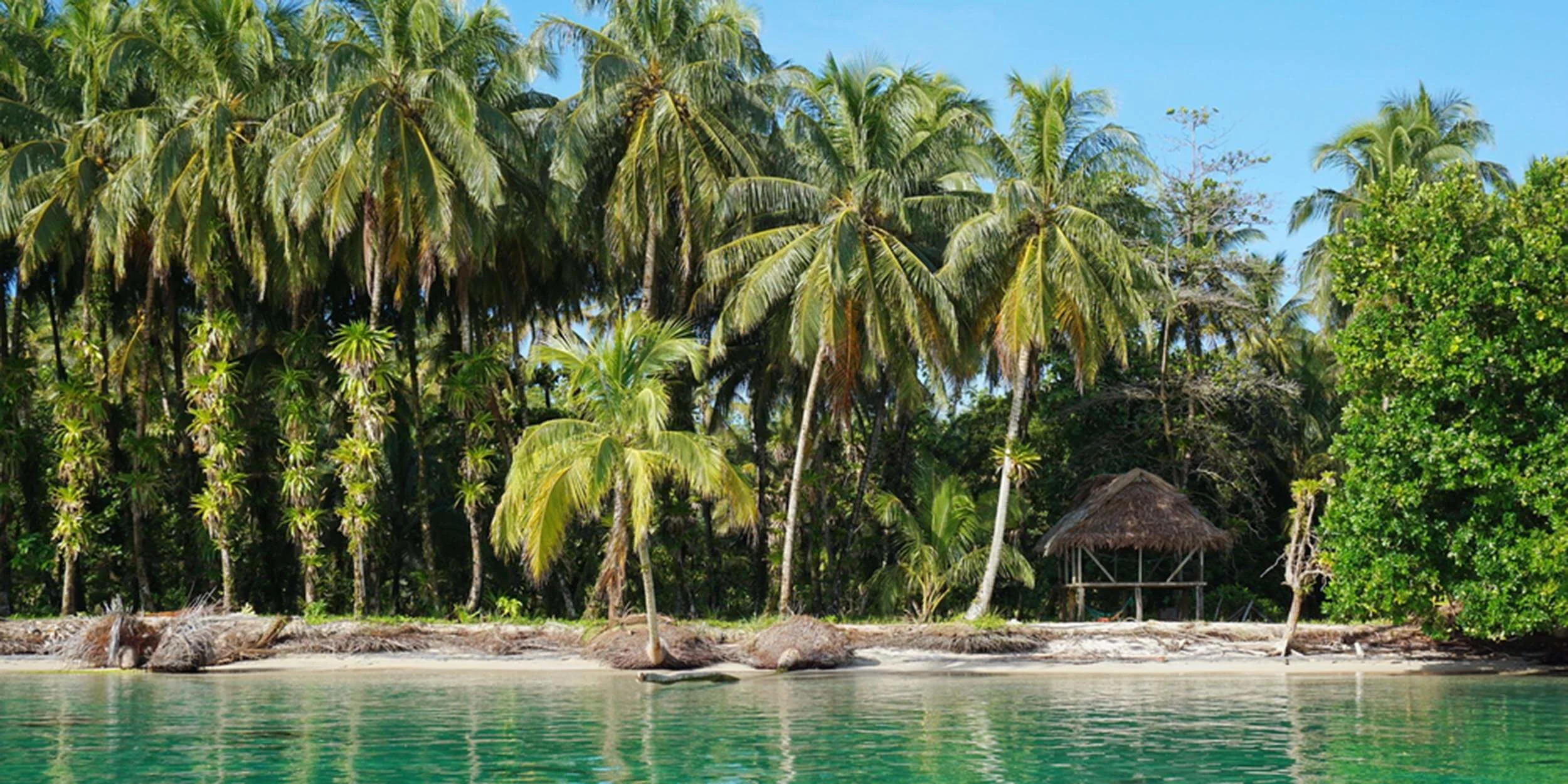 shutterstock_zapatilla_bocas-del-toro_254437633.jpg