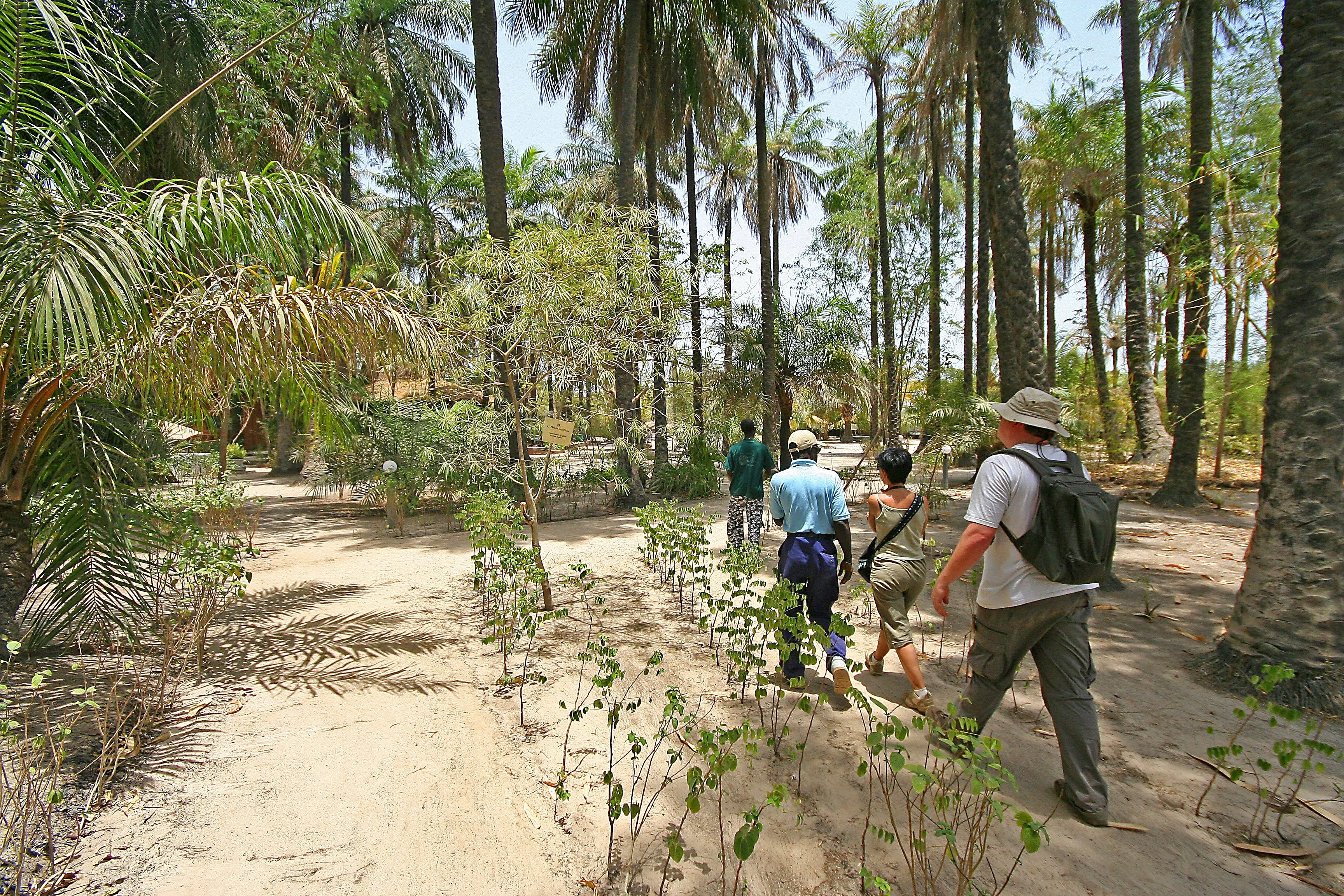 makasutu-cultural-forest.png