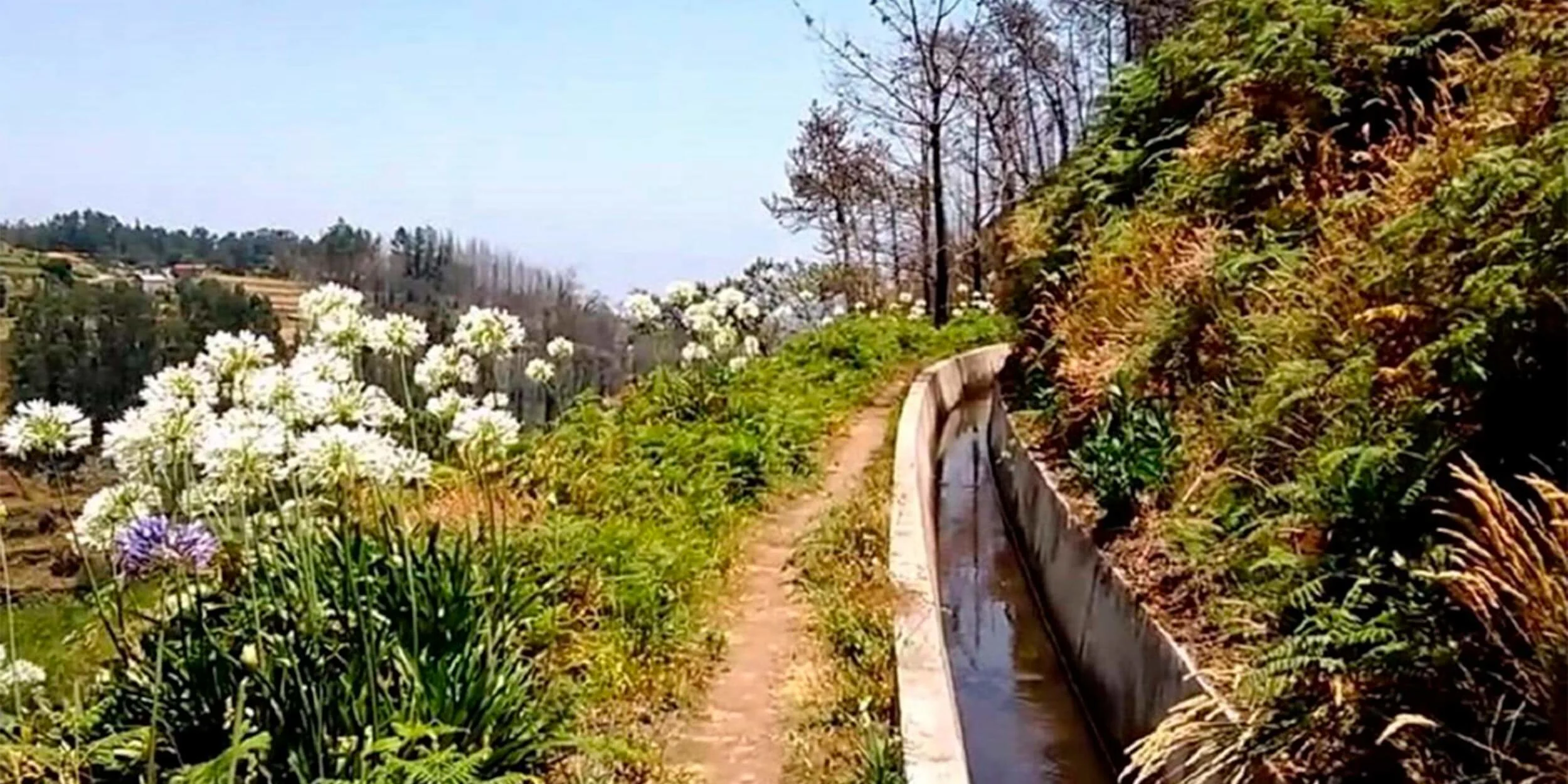 levada-walk-2.jpg