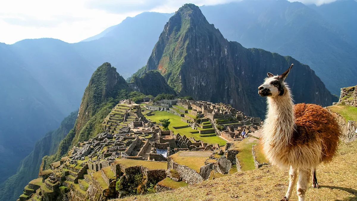 Ocean Cruise & Mountain Views | South America Explorer | HX Hurtigruten ...