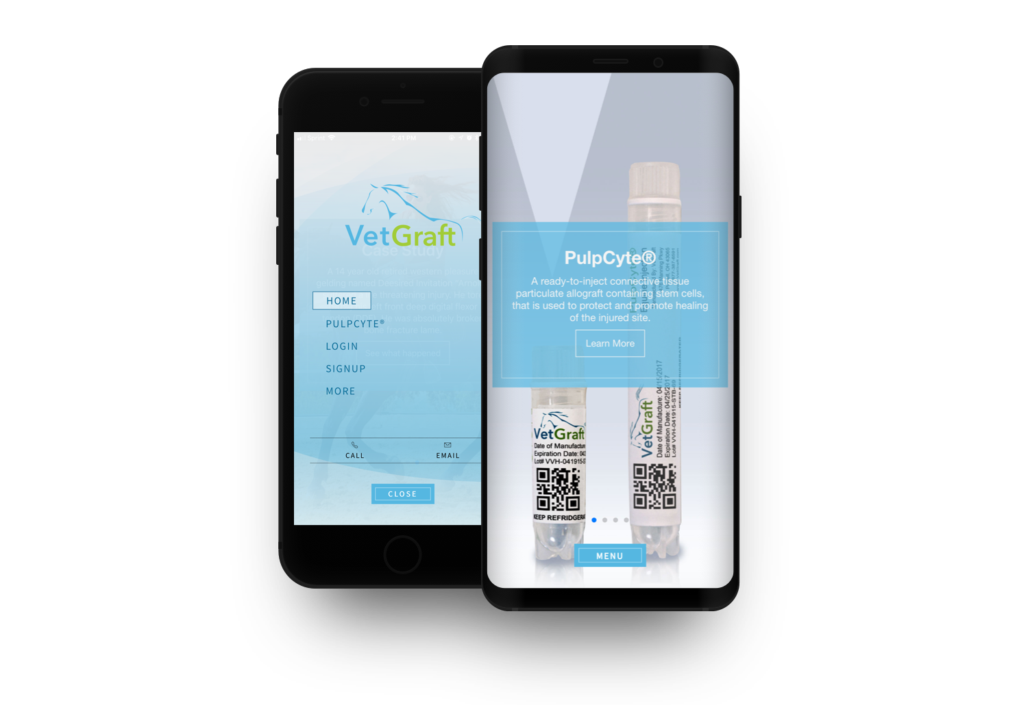 VetGraft project image