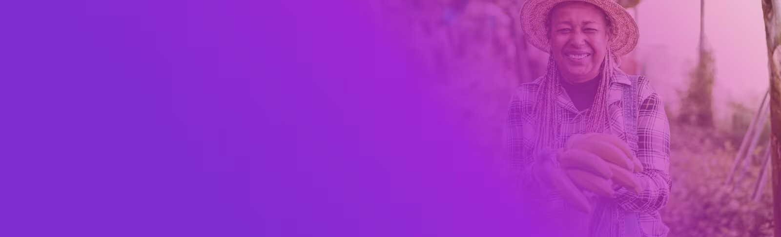 economy-society-banner A purple banner fading into a picture of a lady smiling