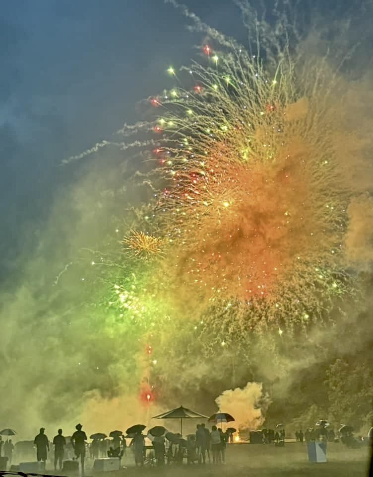 Spectacular image from past Concerts Help Us Sustain Concert Under the Stars