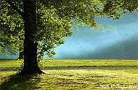 Tinicum Park, Erwinna, PA