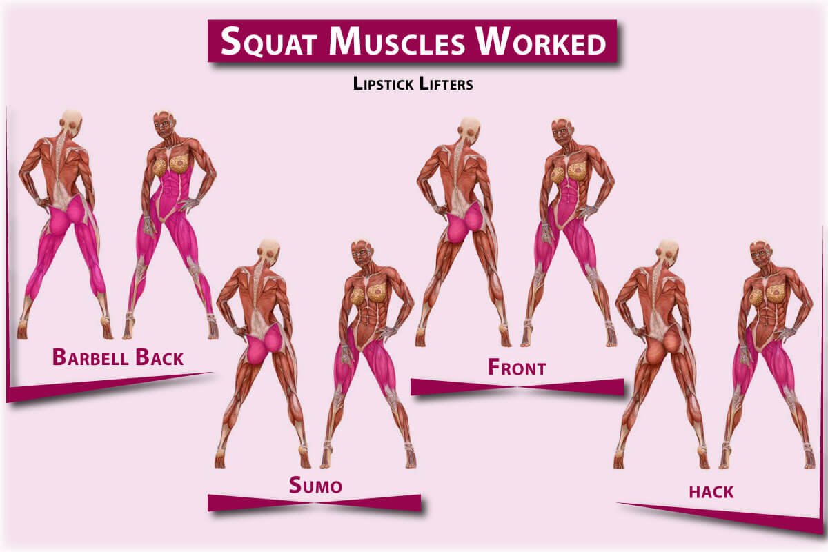 What Muscles Do Squats Work?