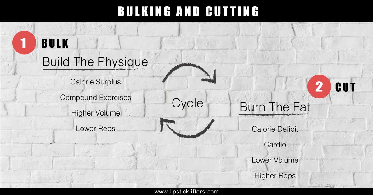 Bulking And Cutting For Women