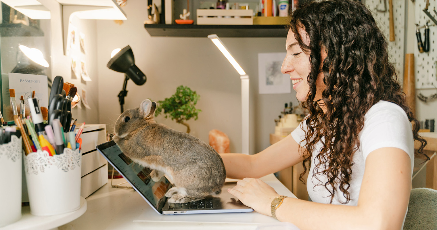 Foster Rabbits: What You Need To Know