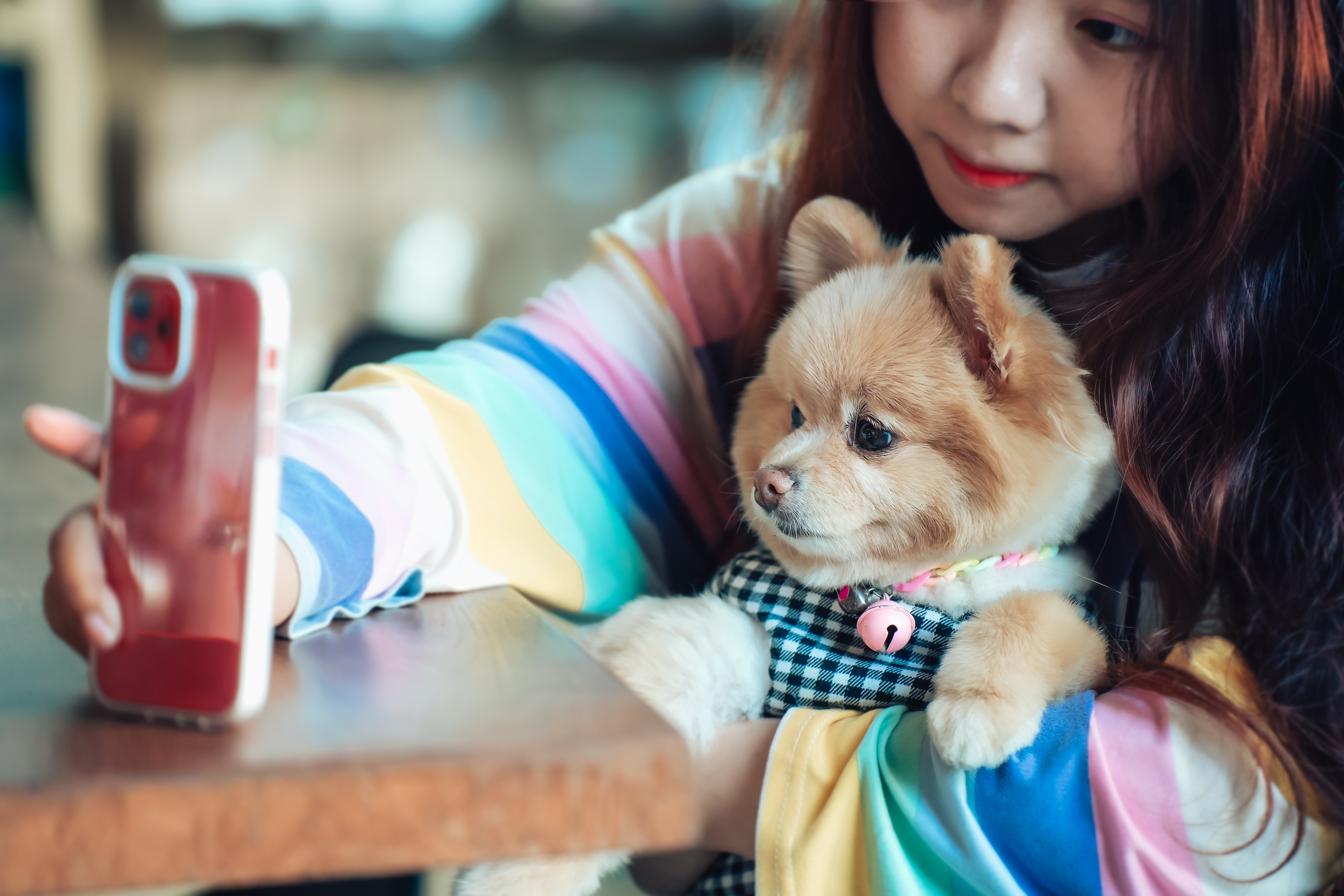 are pomeranians good dogs for kids