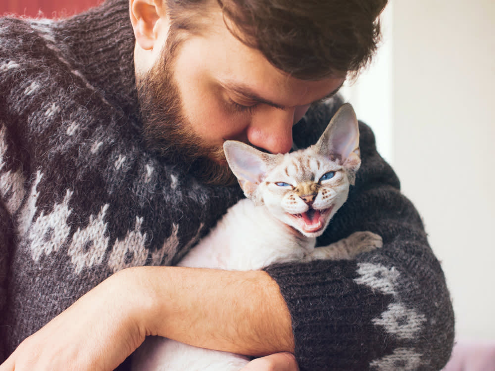 Why Does My Cat Meow So Much? Reasons Your Cat Meows Excessively