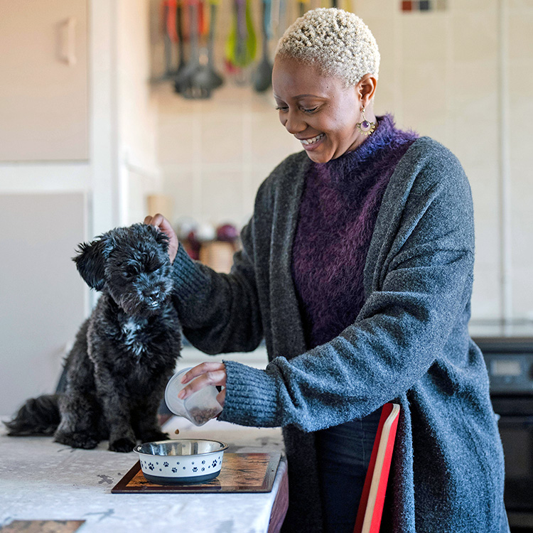High-Fiber Commercial Dog Foods to Consider