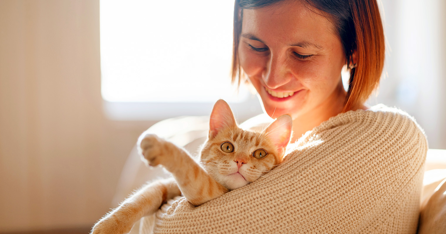 Owned Cat How to Save on the Cost of Cat Ownership