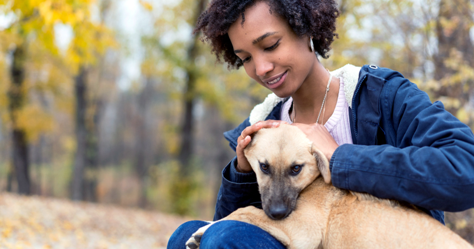 Why Do Dogs Bite Their Owners?